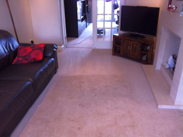 Carpets deep cleaned in the home